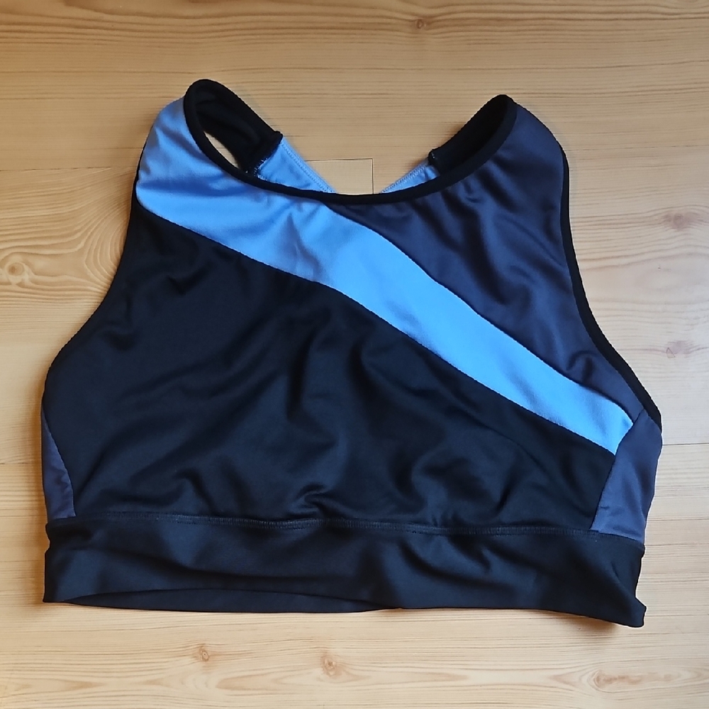 Champion Black and Blue Sports Bra